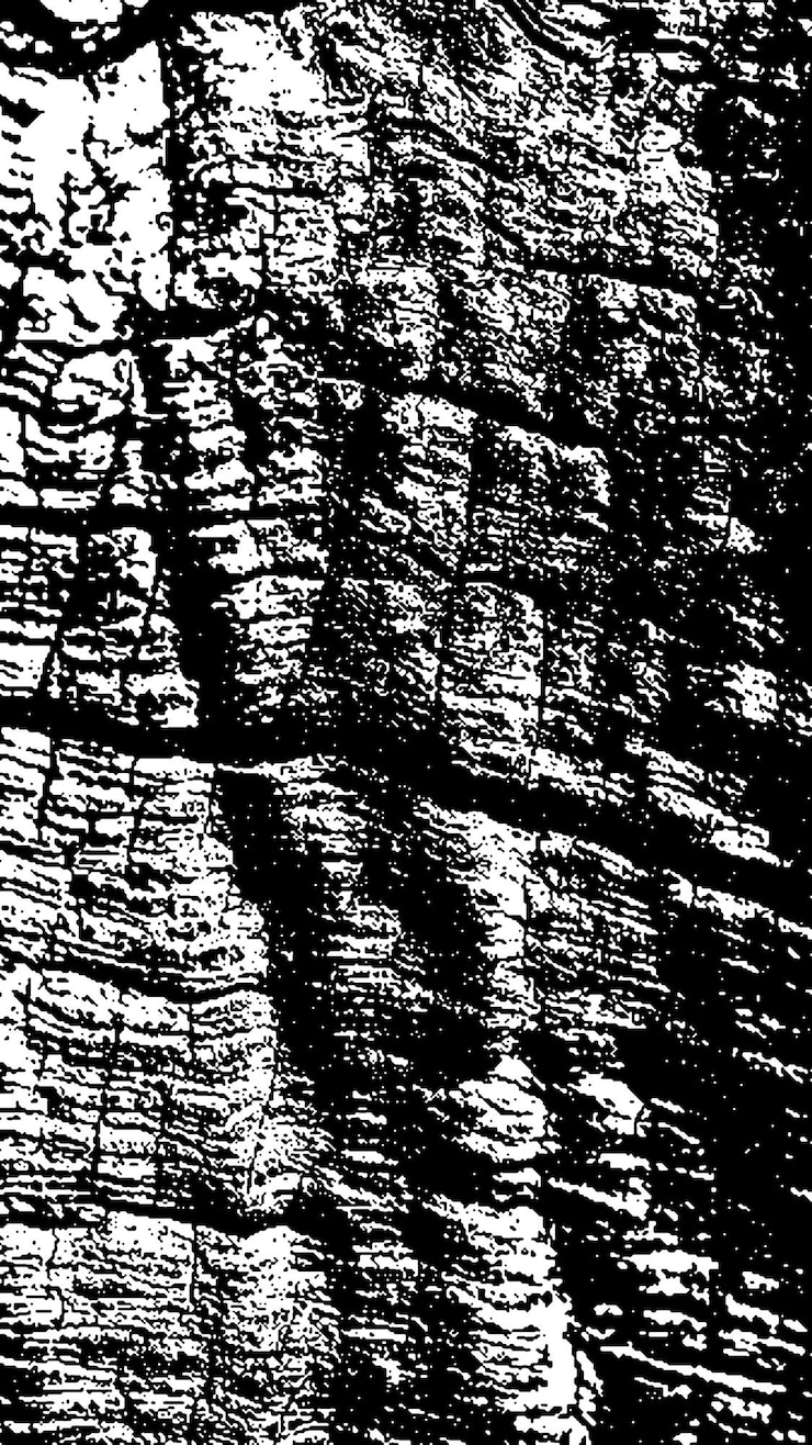 PSD black tree bark texture bark on a white background old tree background vector wooden grunge texture