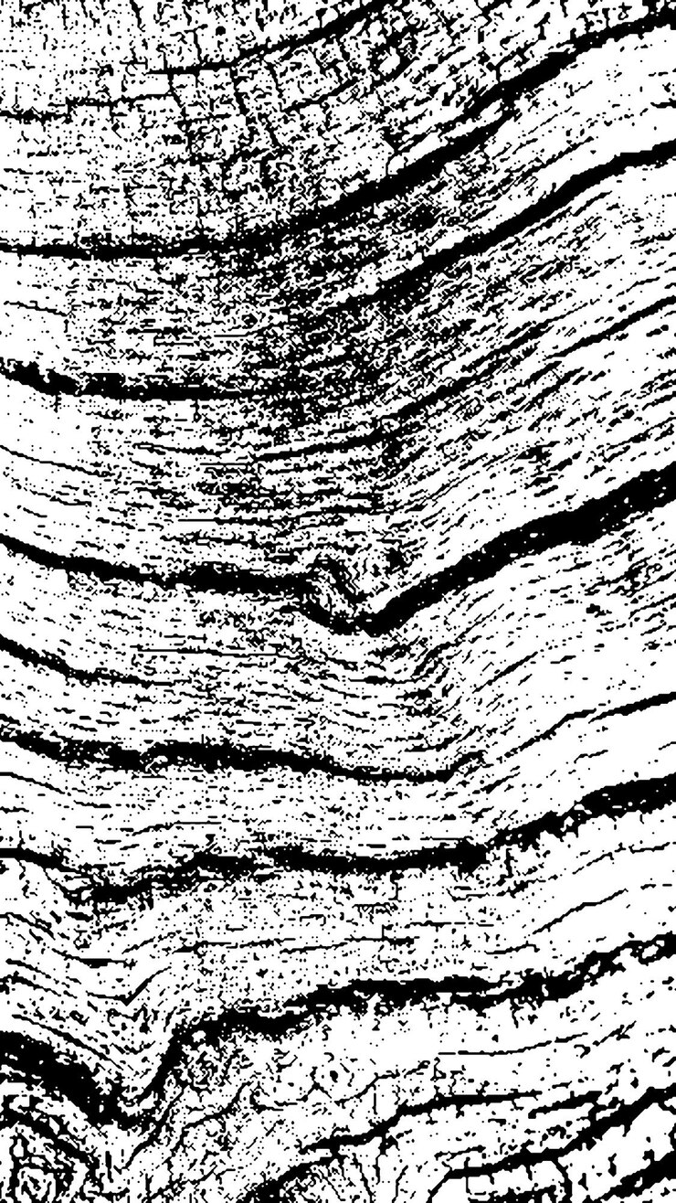 PSD black tree bark texture bark on a white background old tree background vector wooden grunge texture