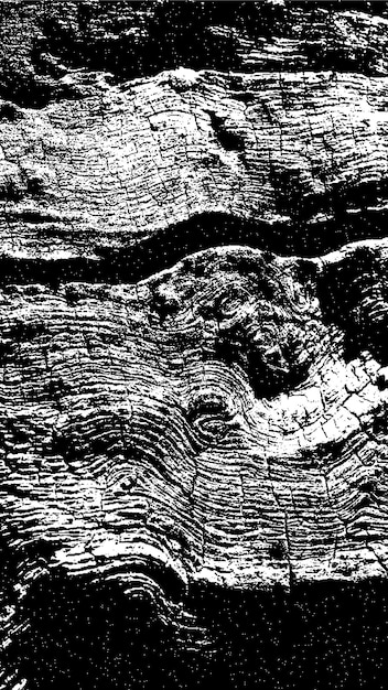黒い木の樹皮の質感 白い背景の樹皮 古い木の背景のベクトル 木のグランジの質感