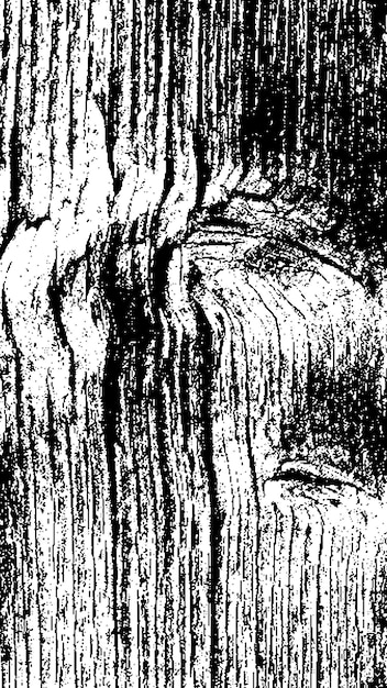 black tree bark texture bark on a white background old tree background vector wooden grunge texture