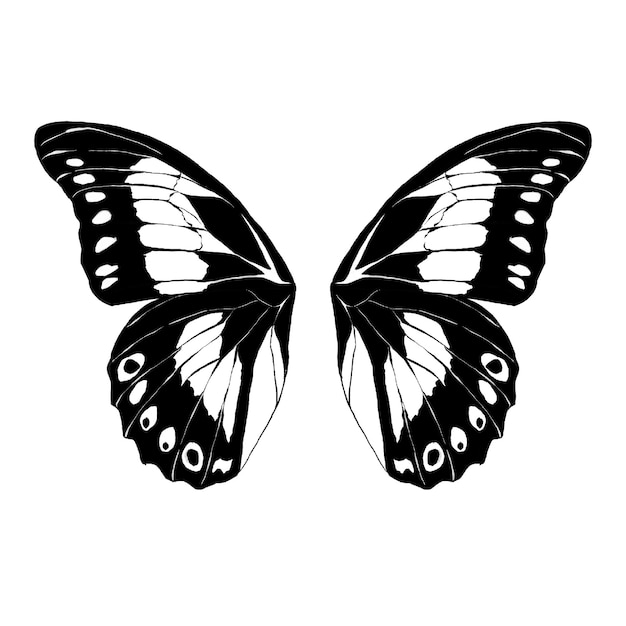 A black and white butterfly with the word butterfly on it