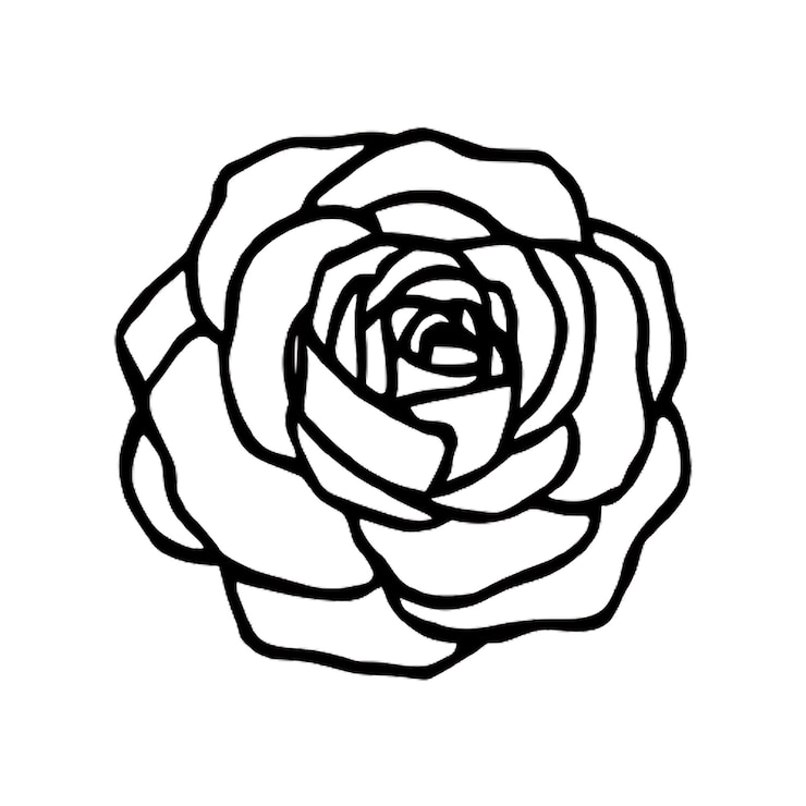 PSD 색 경계를 가진 장미의 검은색과 색 그림