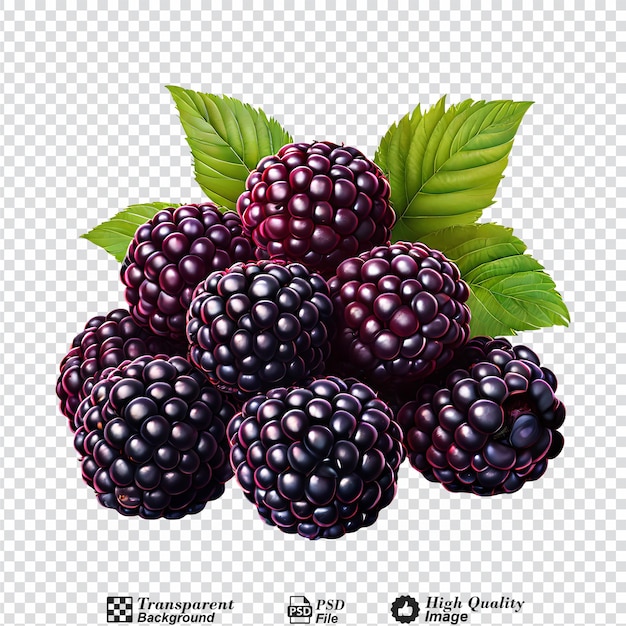 PSD blackberries in a pile isolated on transparent background