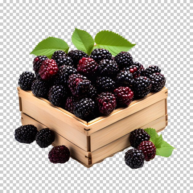 PSD blackberries in wooden box isolated on transparent background