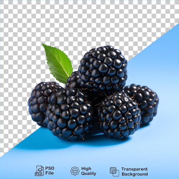 PSD blackberry with leaf isolated on transparent background include png file