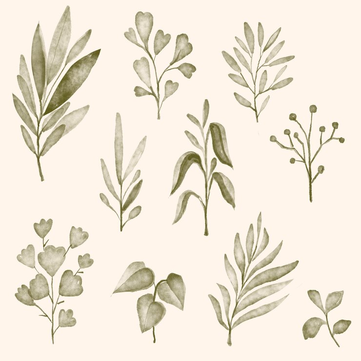 PSD blad natuur waterverf
