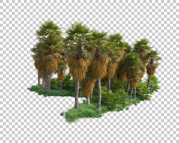 Bladeren eiland geïsoleerd op doorzichtige achtergrond 3D rendering illustratie