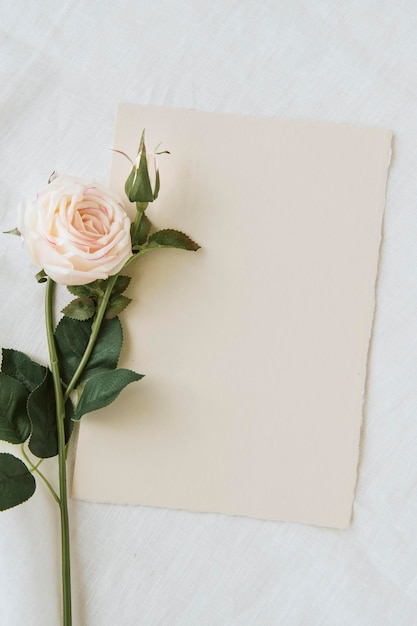 blank brown card template mockup