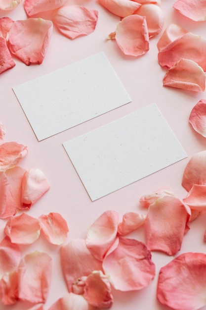 밝은 분홍색 배경과 분홍색 장미 잎자루로 된 빈 비지니스 카드 모