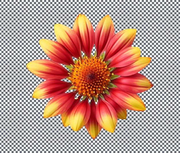 PSD blanket sunflower yellow orange isolated on transparent background