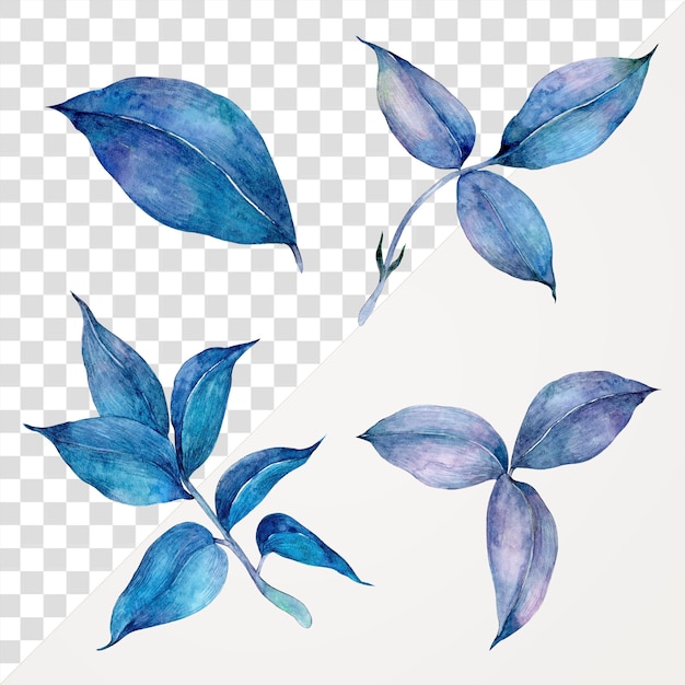 Blauwe aquarel bladeren botanische png illustraties