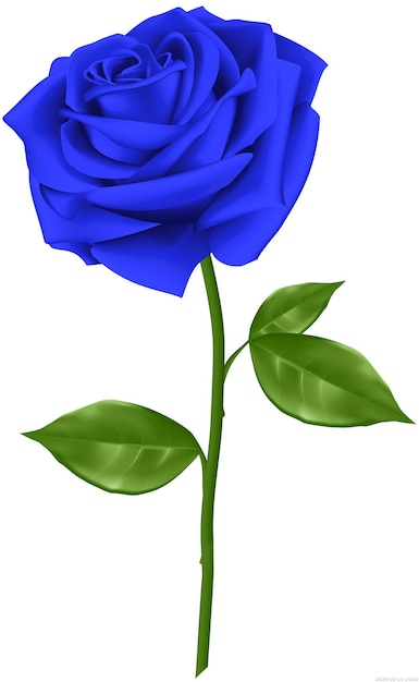 PSD blauwe roos blauwe bloem paarse blauwe afbeelding bestandsformaten png