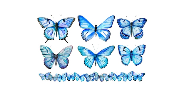 Blauwe vlinder waterverf set
