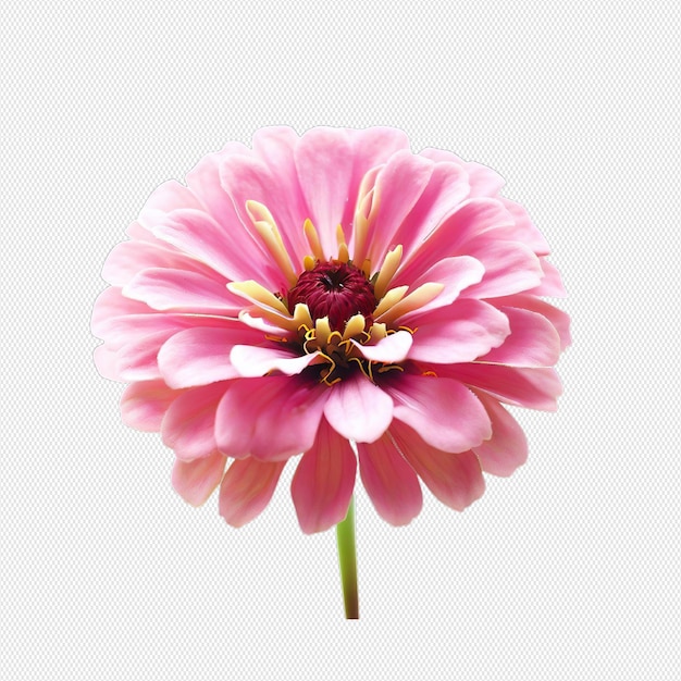 PSD bloem png