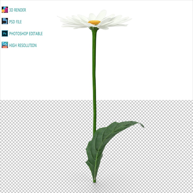 PSD bloemen 3d render psd