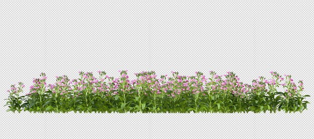 Bloemen in 3D-weergave geïsoleerd