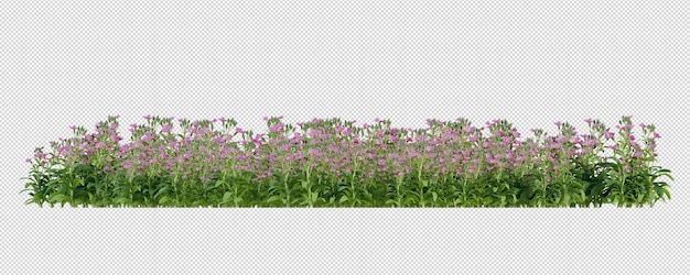 Bloemen in 3D-weergave geïsoleerd