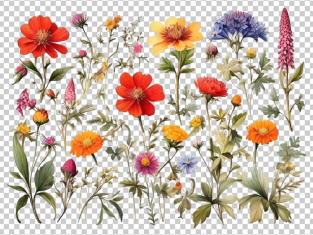 PSD bloemen kleurrijk patroon png