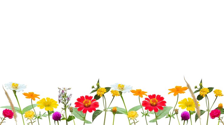PSD bloemen onderste achtergrond geïsoleerd op doorzichtige achtergrond