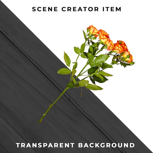 Bloemenobject transparant PSD