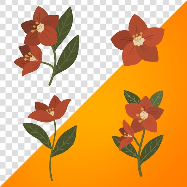 紅色植物花開花的社交廣告模板透明png