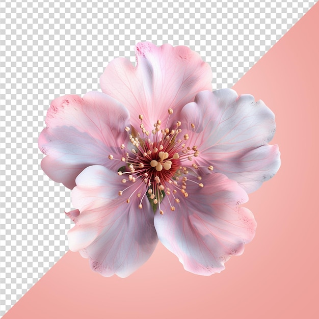 PSD blossom bloem png