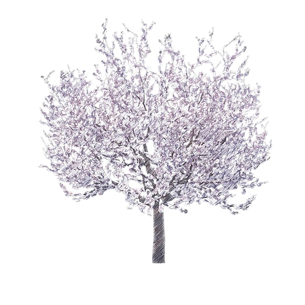 PSD blossoming cherry tree drawing isolated transparent background