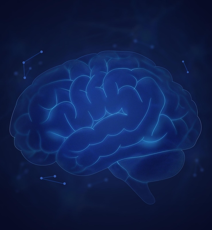 PSD a blue brain with the words brain on it