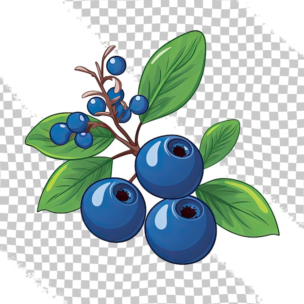 PSD blue chokeberry berry flat icon with inscription raster version illustration isolated on transparent background