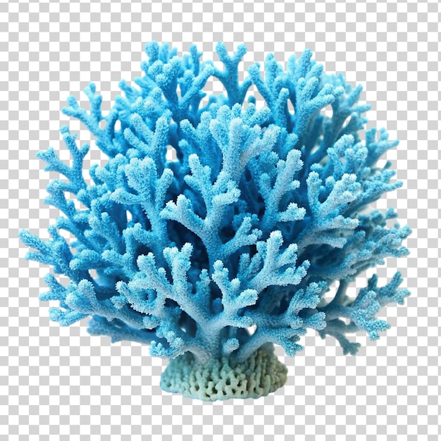 PSD Голубой коралл на прозрачном фоне