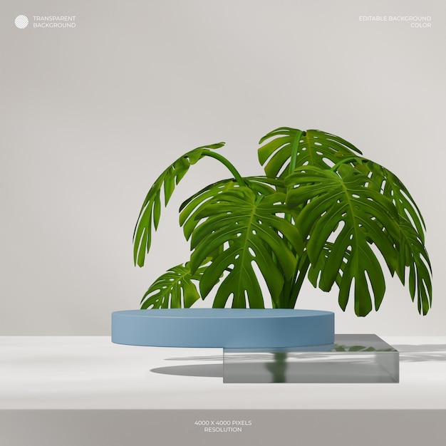 blue cylinder podium in square glass block and monstera 3d rendering of transparent background