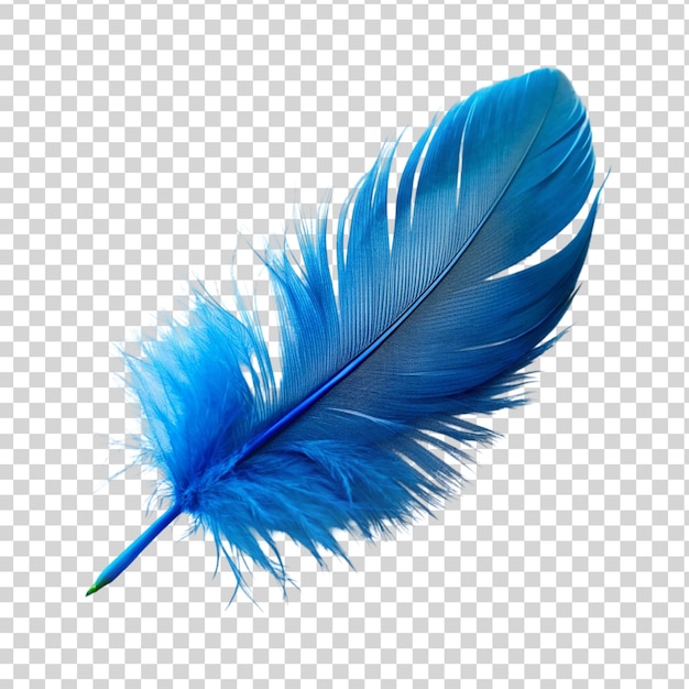 PSD 透明な背景に隔離された青い羽毛