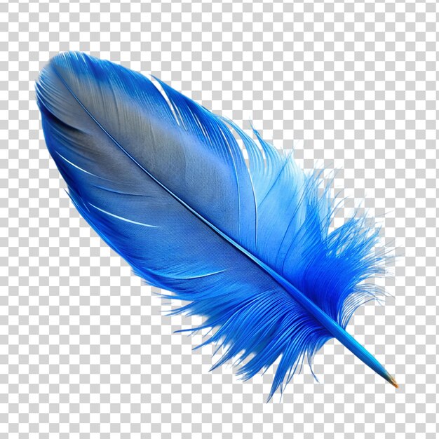 PSD blue feather isolated on transparent background