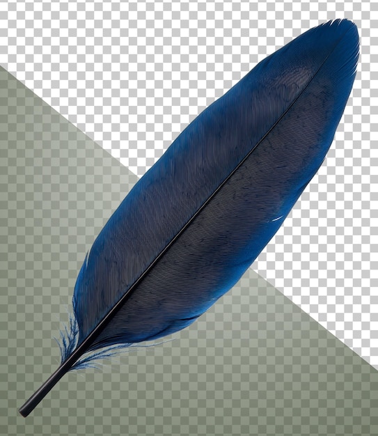 blue feather on white background cut out stock png