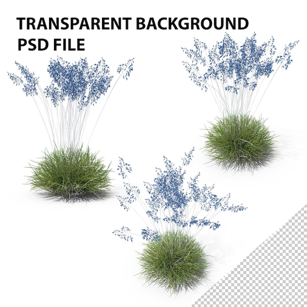 PSD blue fescue png