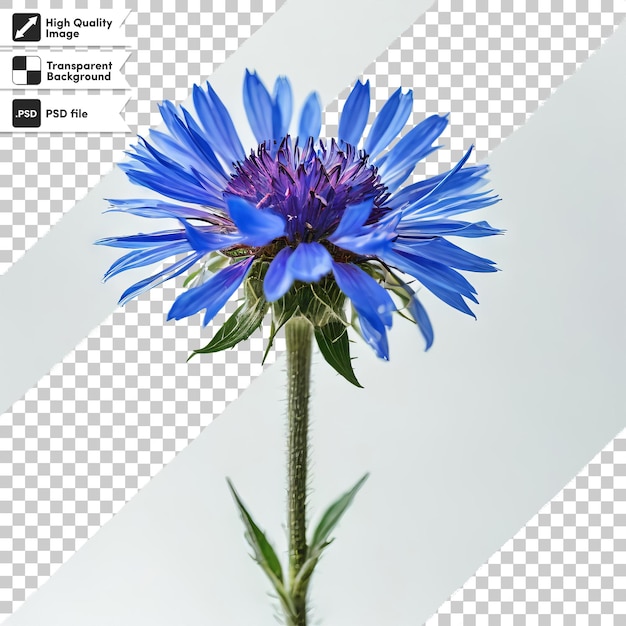 A blue flower is shown on a grid that says  a  on it