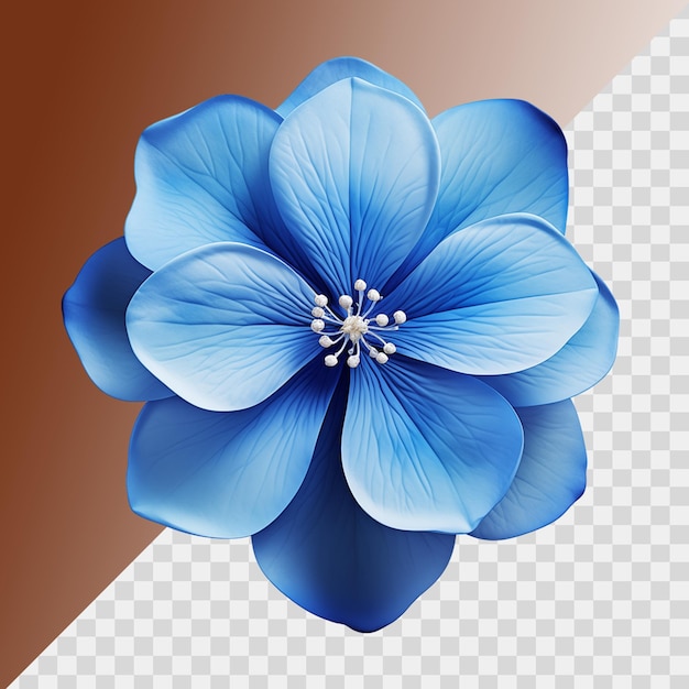 Blue flower isolated on transparent background