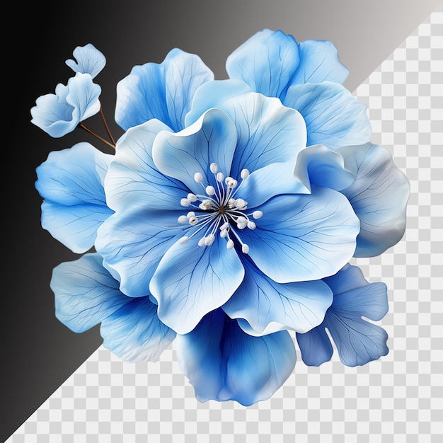 PSD blue flower isolated on transparent background