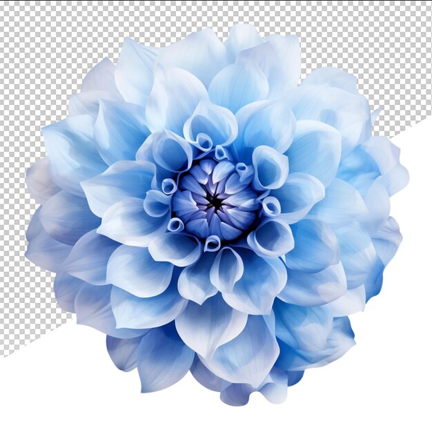 PSD un fiore blu con un fiore azzurro su di esso