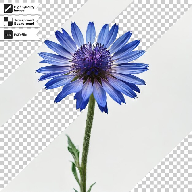 PSD a blue flower with a picture of a blue flower on it