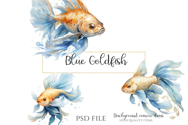 PSD blue gold fish clipart png psd fish art illustration