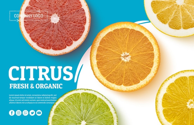 A blue and green poster that says citrus fruit on it.