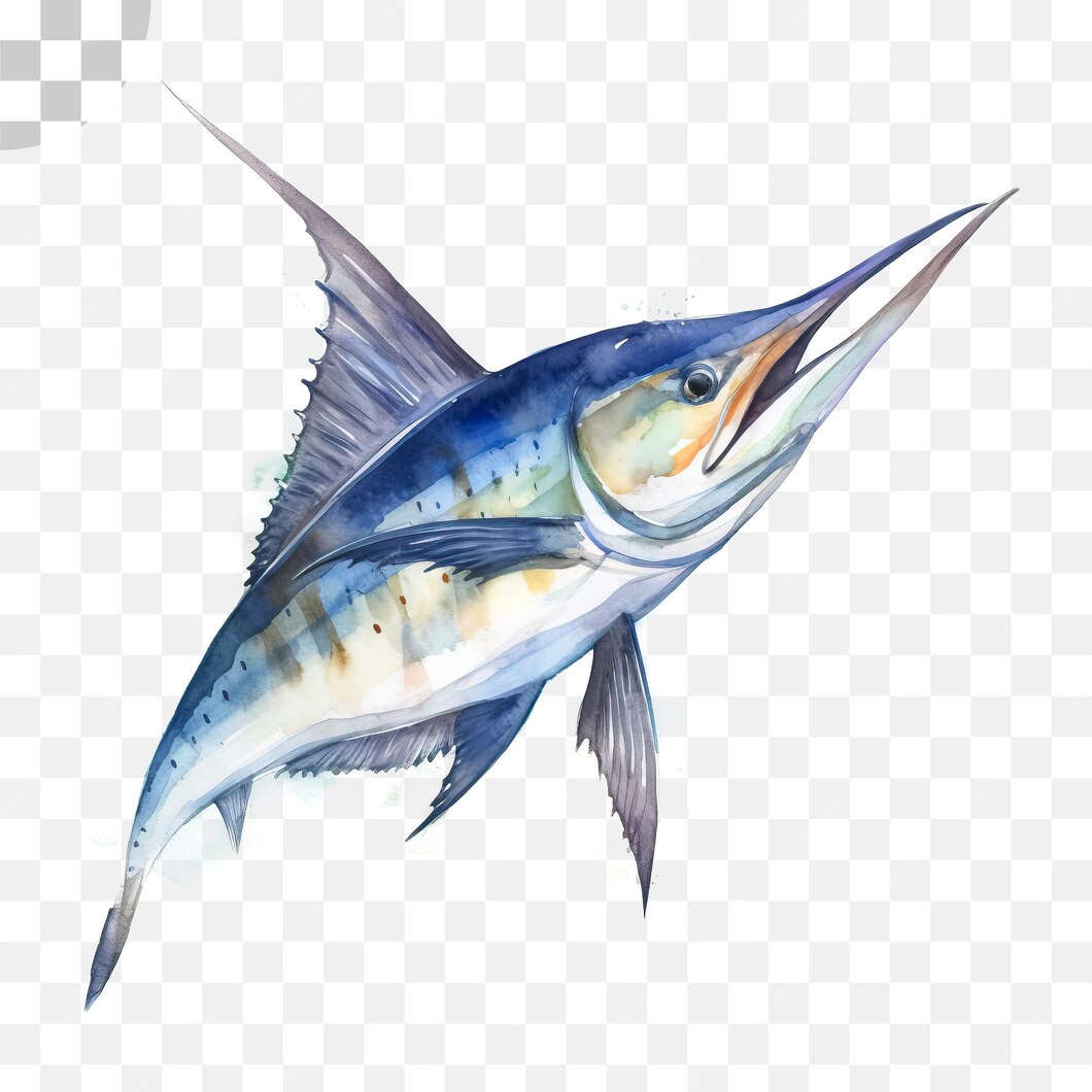 Premium PSD | A blue marlin fish png image - blue marlin fish png image