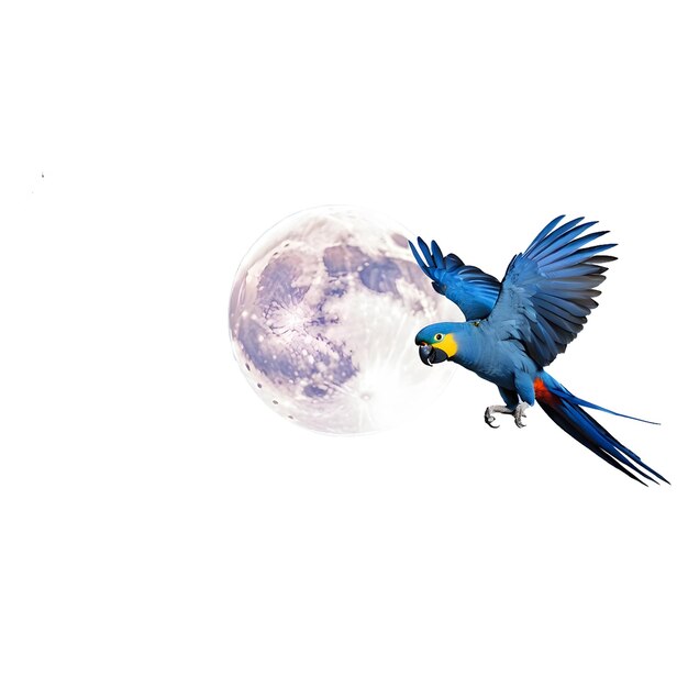 PSD blue parrot vector icon