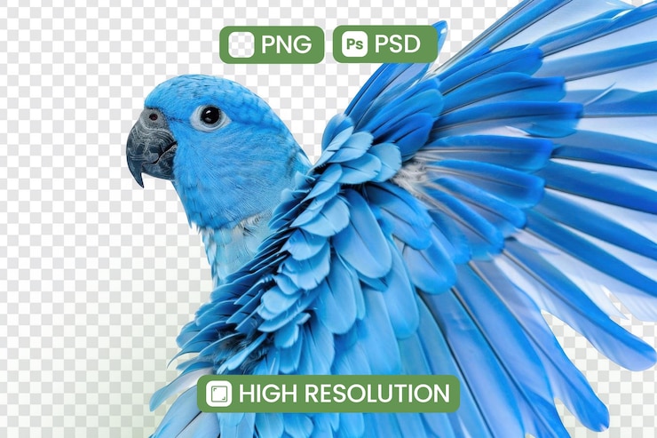 PSD a blue parrot with a blue tail and a blue background with a photo of a blue parrot