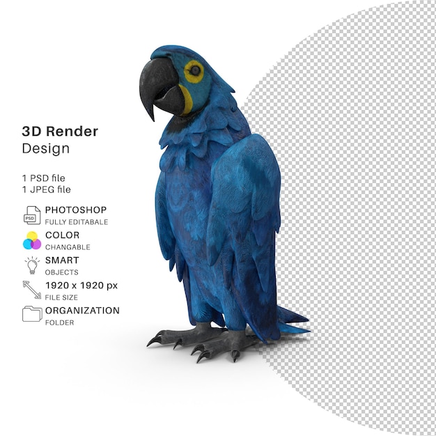 Un pappagallo blu con sopra l'immagine di un uccello