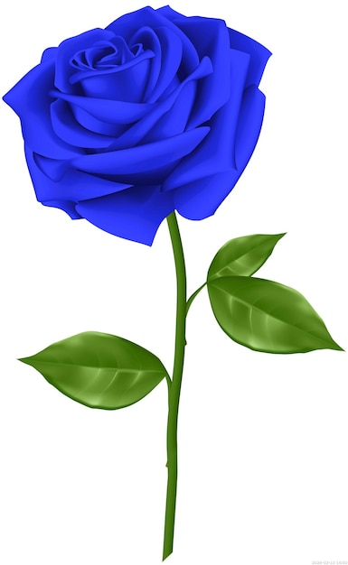 Blue rose blue flower purple blue image File Formats png