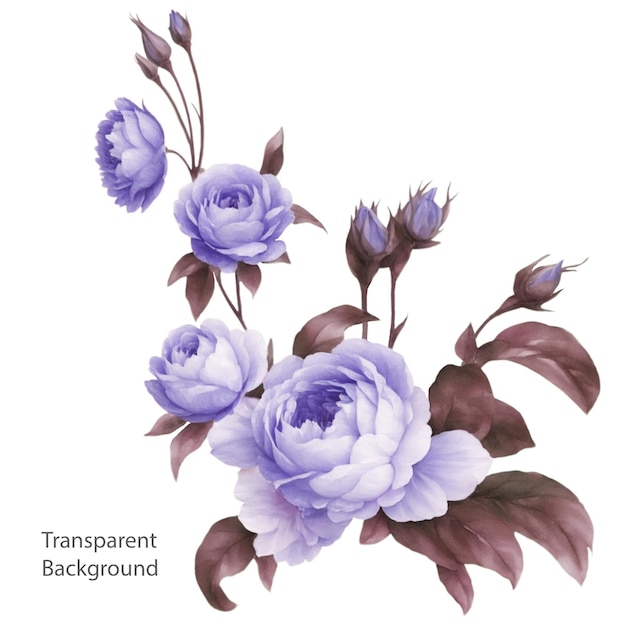 Blue rose flower transparent background psd