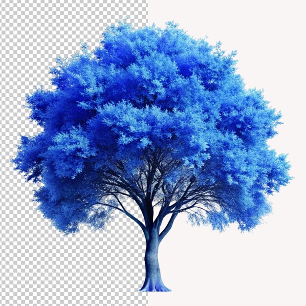 PSD albero blu png