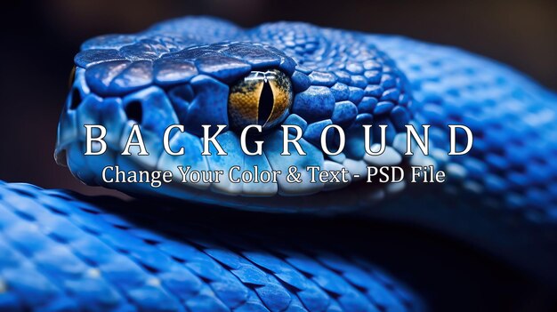 PSD blue viper snake